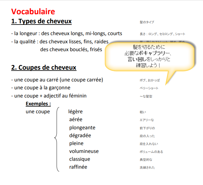 フランス生活会話教材