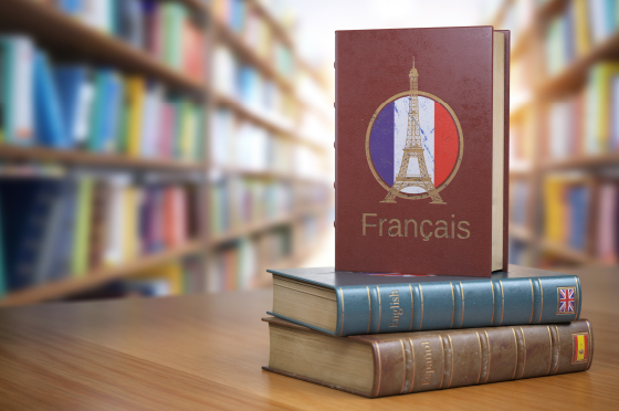 フランス語文法解説編